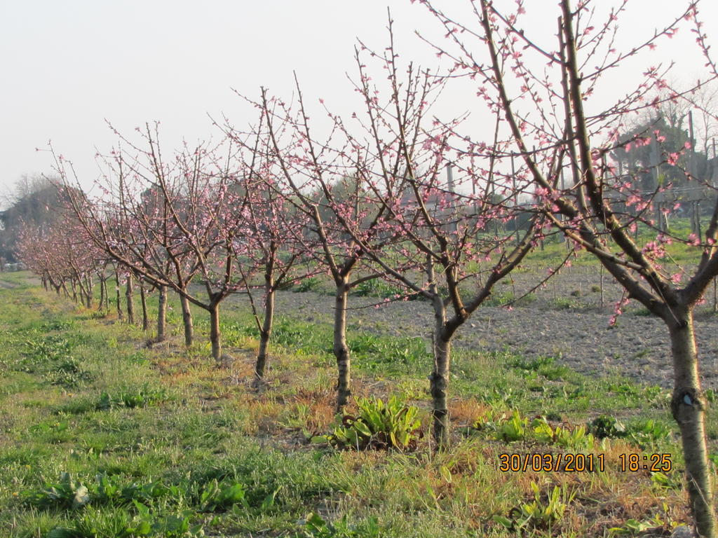 Agriturismo Ca' Baccan Cavallino-Treporti Εξωτερικό φωτογραφία