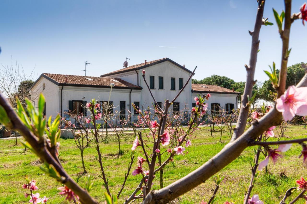 Agriturismo Ca' Baccan Cavallino-Treporti Εξωτερικό φωτογραφία